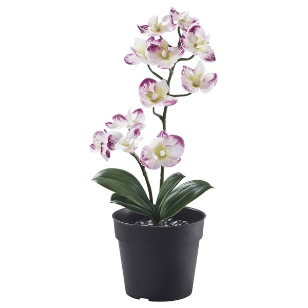 Orchidea artificiale viola-bianca in vaso FEJKA, plastica riciclata.