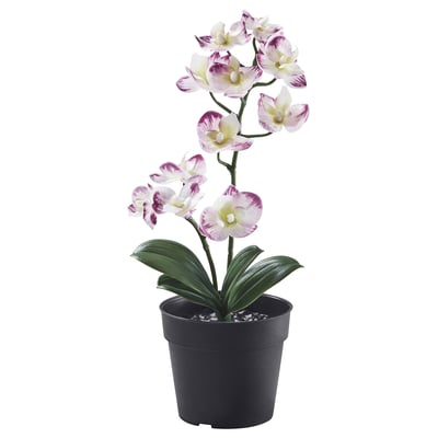 Orchidea artificiale viola-bianca in vaso FEJKA, plastica riciclata.