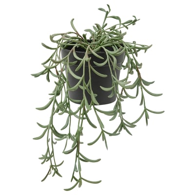 Pianta verde artificiale in vaso nero con foglie lunghe e sottili.