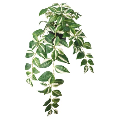 FEJKA: pianta a foglia verde e crema variabile, realistica, uso interno/esterno.