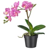 FEJKA pianta artificiale, rosa chiaro, in vaso, foglie verdi, plastica resistente.