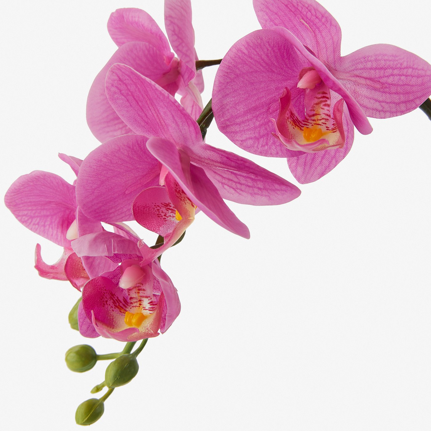 PATIKIL Foglie di Orchidea Finta 4,4 Pollici, 2pz Piccola Pianta Artificiale Fogliame Phalaenopsis Vero Lattice Verde 5 Foglie con Steli per Decorare Vasi Fiori Casa, Verde