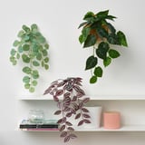 Tre piante artificiali sono appese al muro, sotto lo scaffale con libri e vasi. Realistico, a bassa manutenzione, interno/esterno.