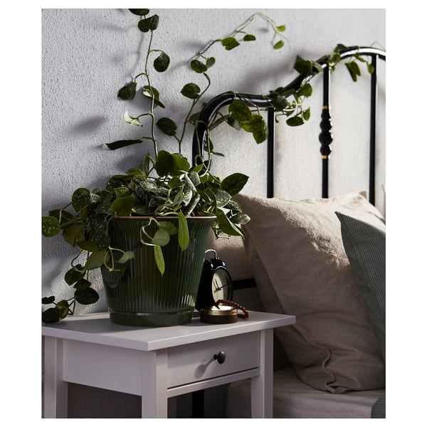 KAMOMILL Portavasi - verde da interno/esterno verde - IKEA