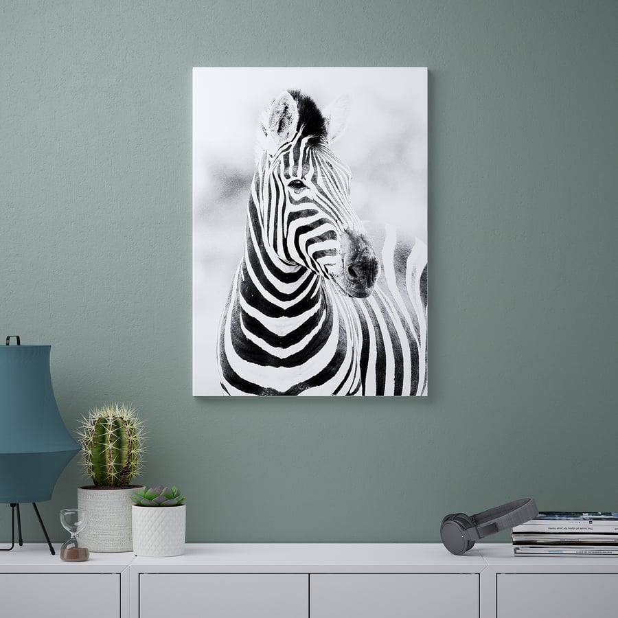 KATEBO stampa, sguardo di una zebra, 50x70 cm IKEA Italia