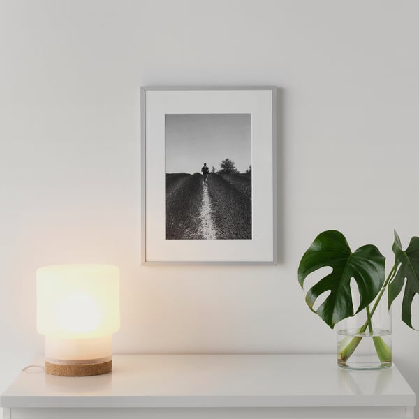 Una foto incorniciata in bianco e nero è appesa a una parete, illuminata da una lampada soffusa accanto a una pianta verde su uno scaffale bianco.