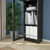 Armadio moderno in legno scuro con anta in vetro, che ospita libri e raccoglitori. Accanto ad essa c'è un'alta pianta in vaso.