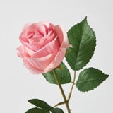 Splendida rosa con foglie verdi, realizzata con materiali riciclati, si erge elegante e realistica.