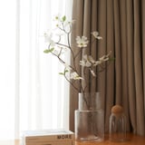 Vaso in vetro con fiori, libri, barattolo su tavolo in legno, tende marroni