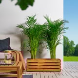 Fioriera in legno STJÄRNANIS sul patio, con piante verdi lussureggianti. Grande, rettangolare, alto con design a doghe. Contiene un vassoio per bevande con divano accanto.