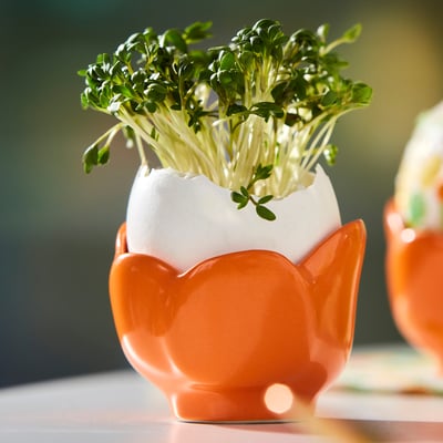 Portauovo Con Rompiguscio A Testa Di Gallo - Bianco, Per Aprire Uova Senza Guscio - Foto 6