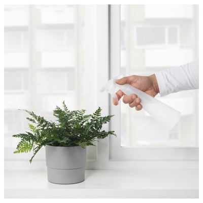 Una persona spruzza una pianta d'appartamento con uno spruzzatore regolabile, erogando una nebbia delicata per rinfrescare le foglie.