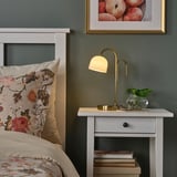 Lampada d'oro, cuscino, pianta, libri, arte.