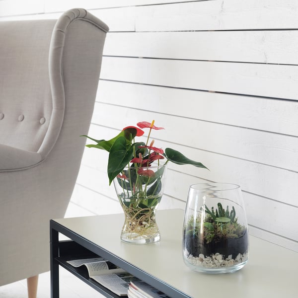 Vasen Vaso Vetro Trasparente Ikea