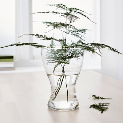 vasen-vase-clear-glass__0903168_PE584235