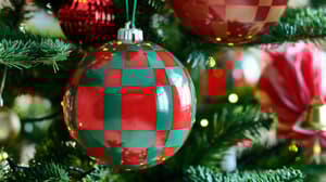 Collezione VINTERFINT