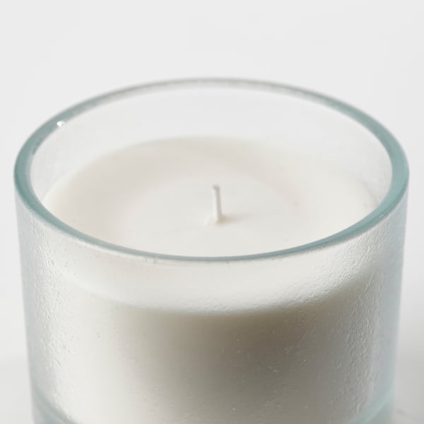 ADLAD شمعة معطرة في كأس, الغابة الاسكندنافية/أبيض, 50 س