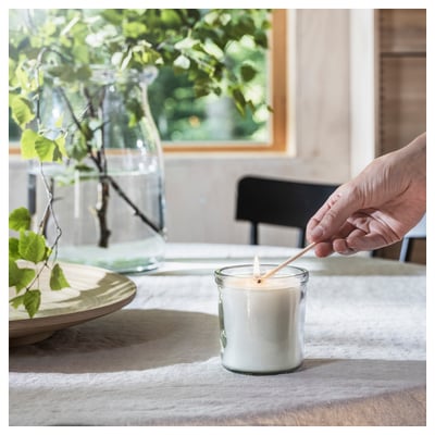A person lights an ADLAD scented candle on a table with a wooden platter and green plants.