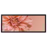 BJÖRKSTA Picture with frame, flowers-in pink/black, 140x56 cm
