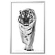 Option: BJÖRKSTA Picture with frame, tiger/aluminium-colour, 78x118 cm