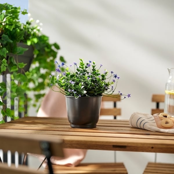 BROKTRAST Plant pot, in/outdoor/dark grey, 12 cm