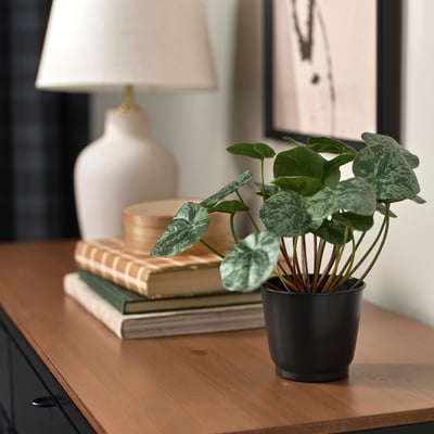 BROKTRAST Plant pot, in/outdoor/dark grey, 9 cm
