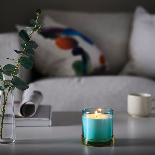 DVÄRGHÖK Scented candle in glass with lid, Fig leaf blue/light yellow, 50 hr