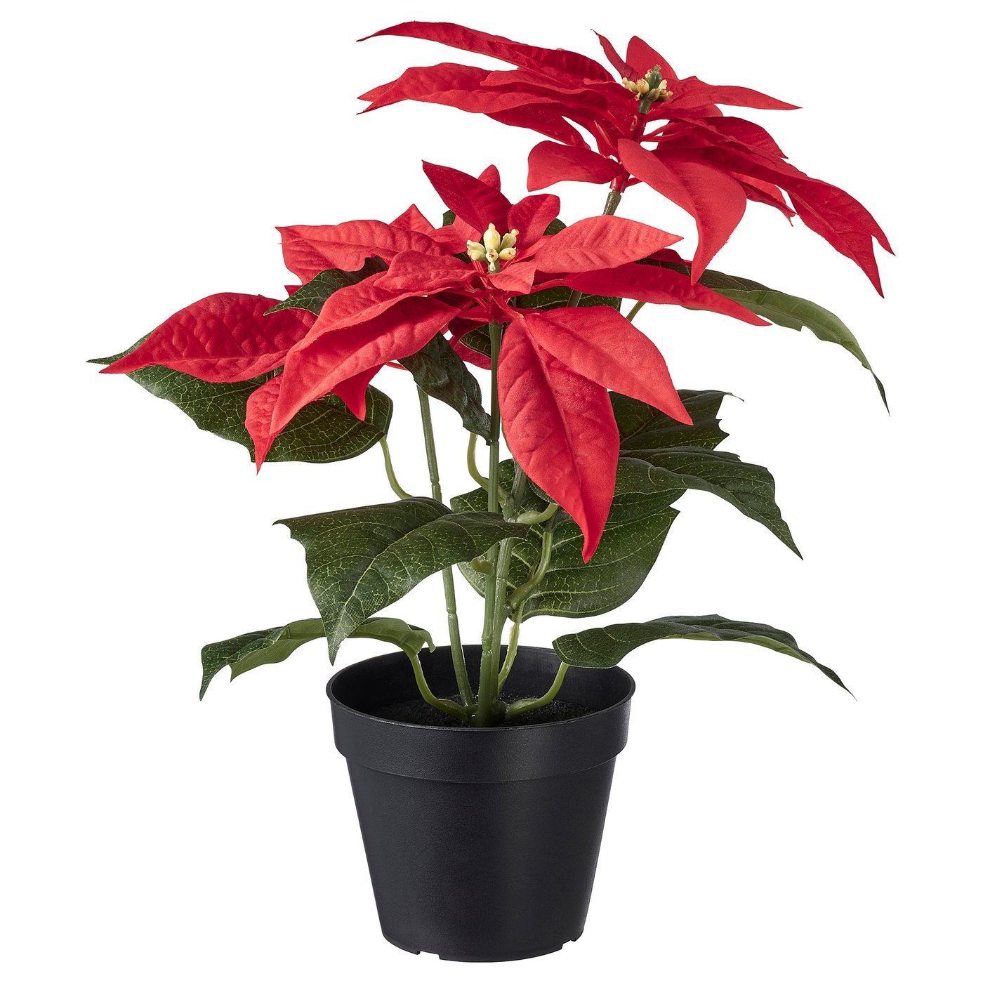 FEJKA Artificial potted plant in/outdoor Poinsettia/red IKEA