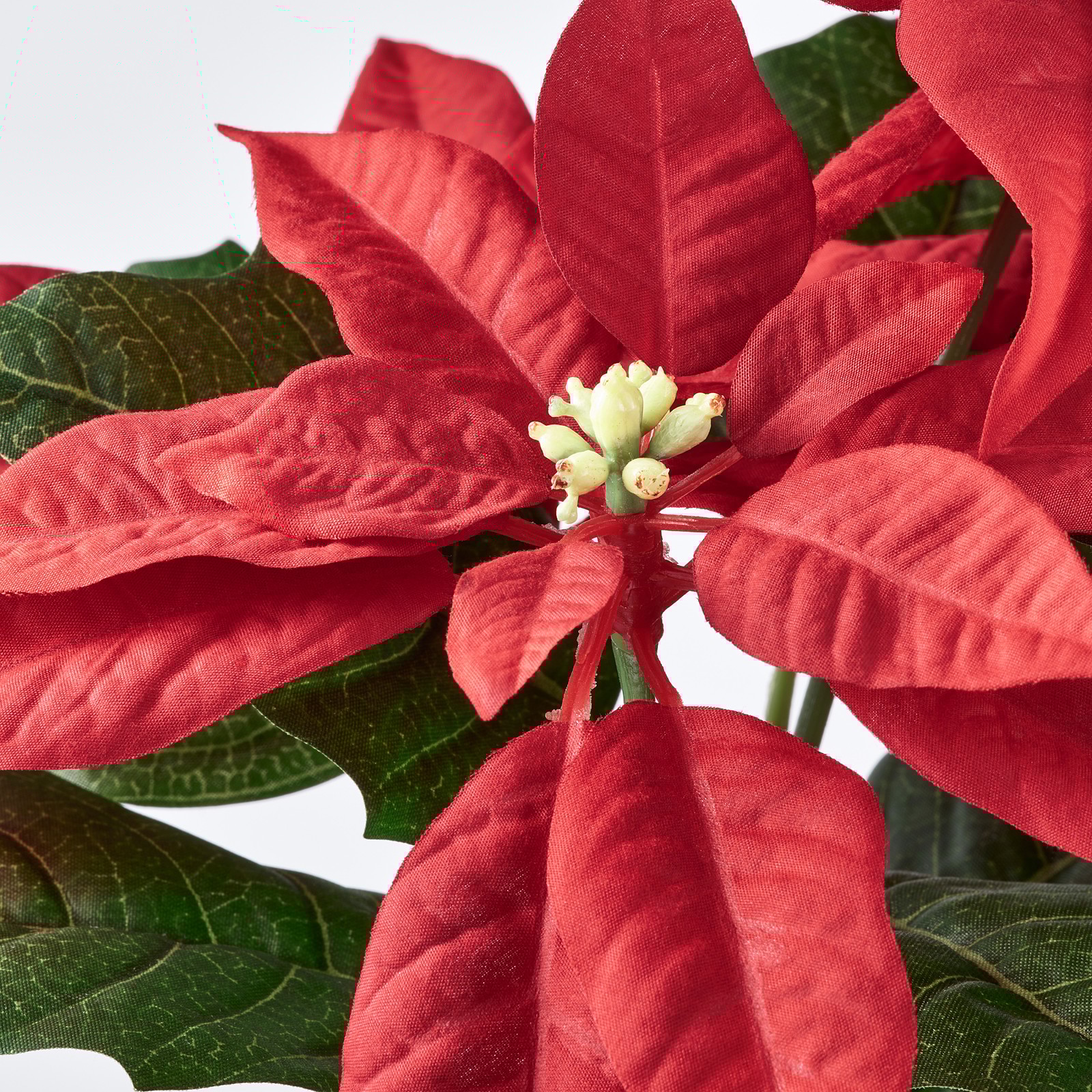 FEJKA Artificial potted plant in/outdoor Poinsettia/red