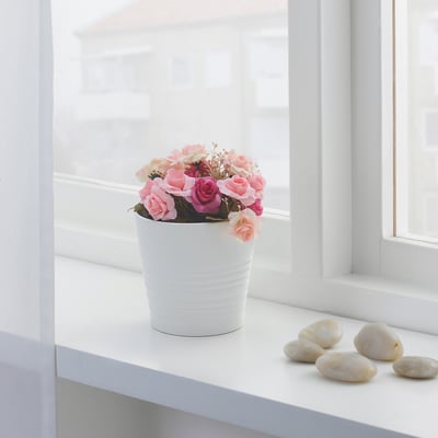 نباتات وزهور ikea