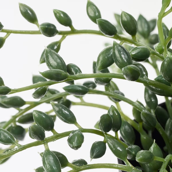 FEJKA Artificial potted plant, in/outdoor String of beads, 9 cm