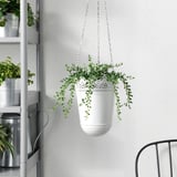 FEJKA Artificial potted plant, in/outdoor String of beads, 9 cm