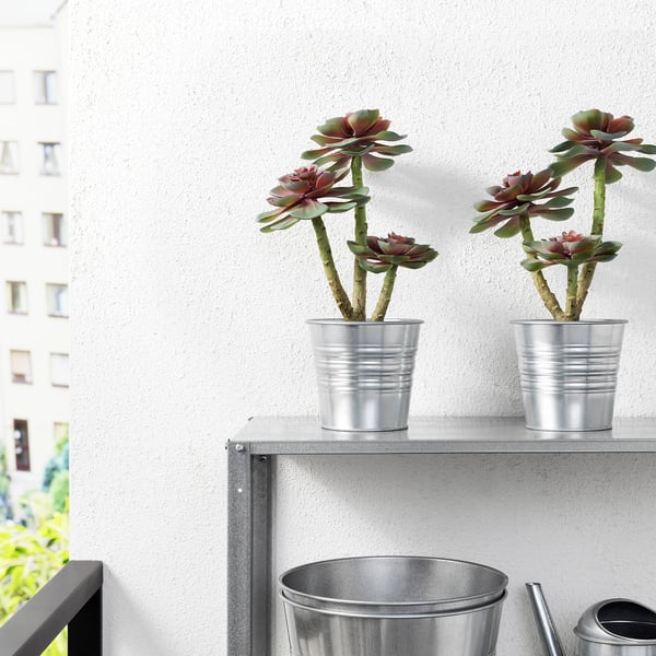 FEJKA Artificial potted plant in/outdoor Succulent IKEA