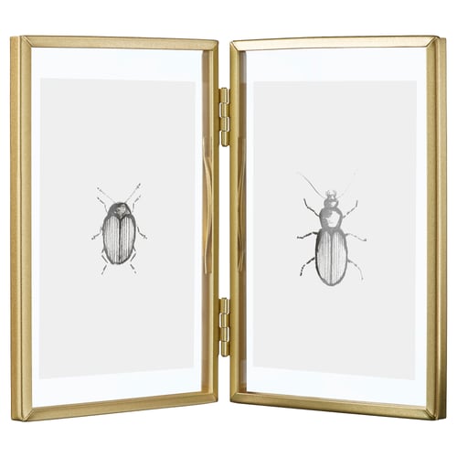 Gold-framed double-sided glass display with black beetle illustrations on each side.