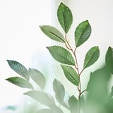 SMYCKA Artificial flower, in/outdoor foliage/green, 67 cm