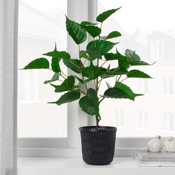 Potted plant in dark woven basket by window. Lightweight, handmade, indoor use.