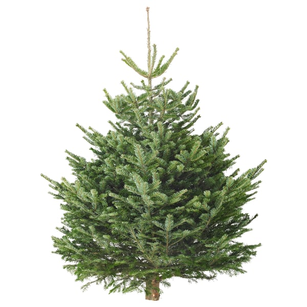 BARRTRÄD Christmas tree, assorted, 90 cm