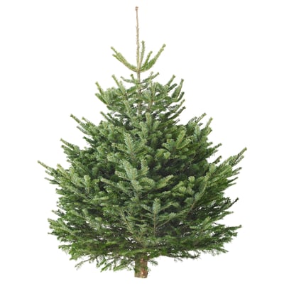 BARRTRÄD Christmas tree, assorted, 90 cm