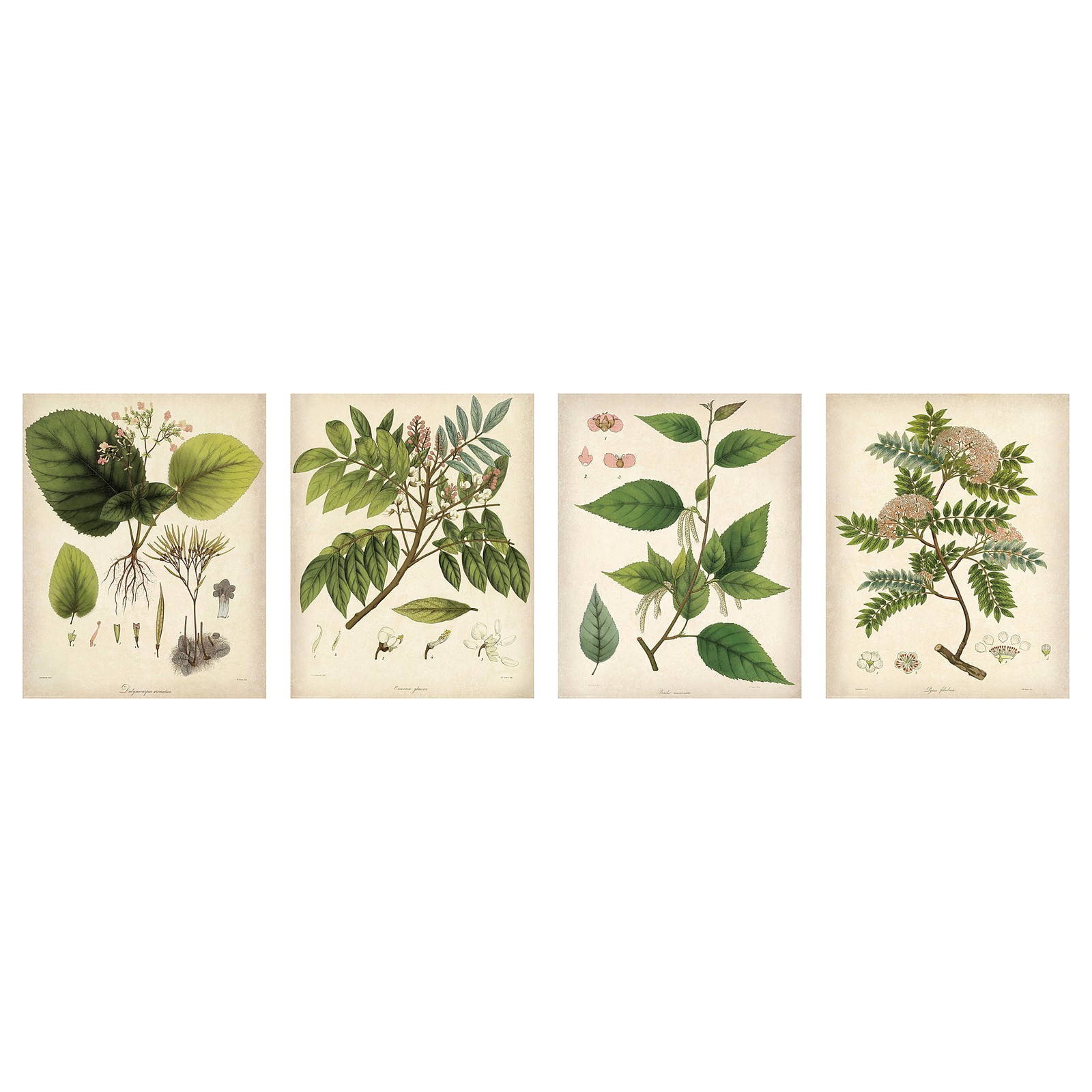 Posters - Art Prints - IKEA