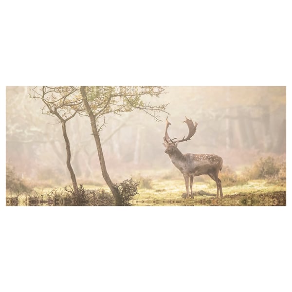 BJÖRKSTA Picture, Deer in glade, 140x56 cm