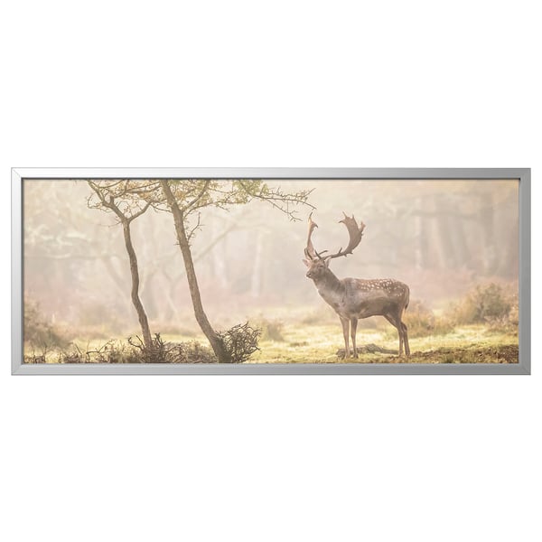 BJÖRKSTA Picture with frame, Deer in glade/aluminium-colour, 140x56 cm