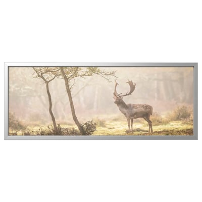 BJÖRKSTA Picture with frame, Deer in glade/aluminium-colour, 140x56 cm