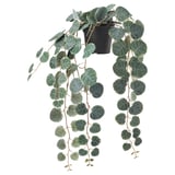 FEJKA Artificial potted plant, in/outdoor hanging/String of hearts, 9 cm
