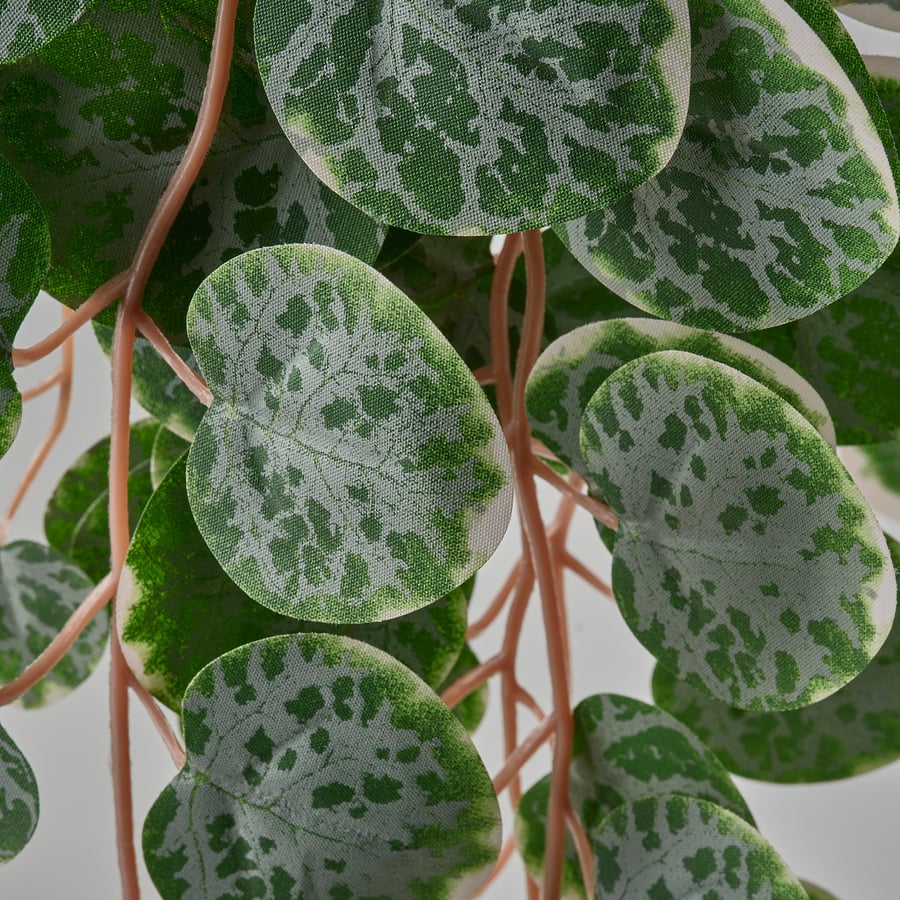 FEJKA artificial potted plant, in/outdoor hanging/String of hearts, 9 ...