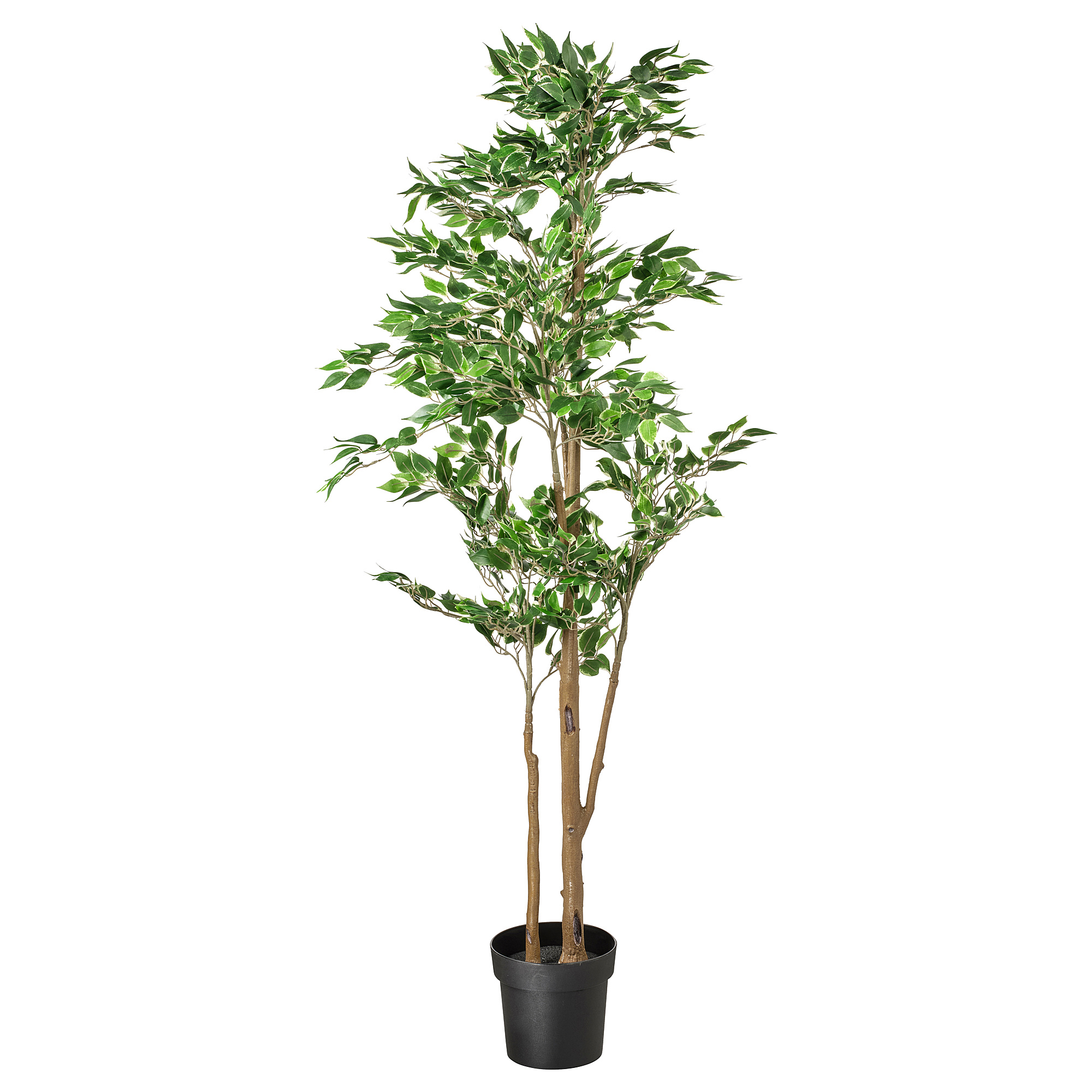 FEJKA Artificial potted plant, in/outdoor Weeping fig, 21 cm IKEA