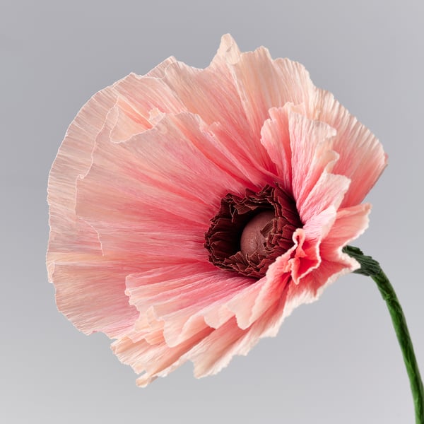Paper flower with delicate petals, pink hues, central brown structure, green stem; beautifully crafted, ready for arrangement.