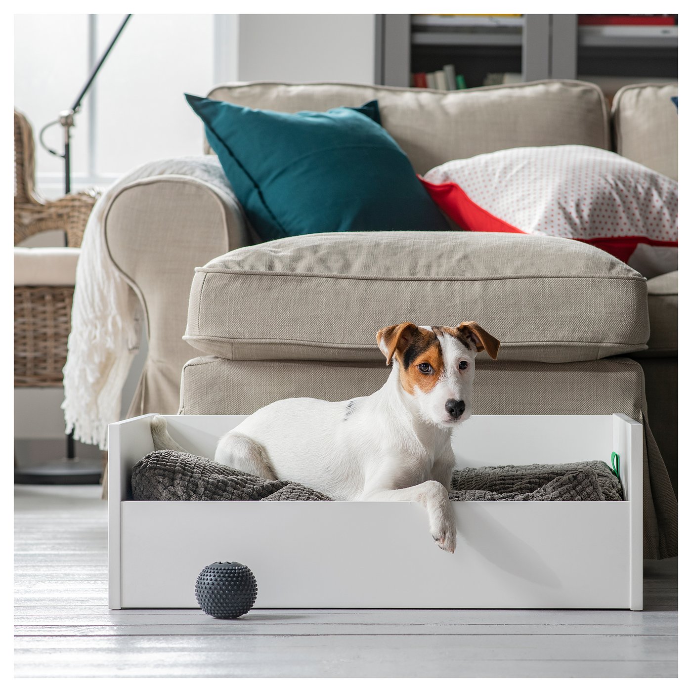 ikea dog beds canada