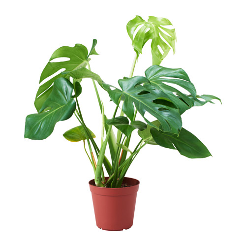 Home Recycling Ideas