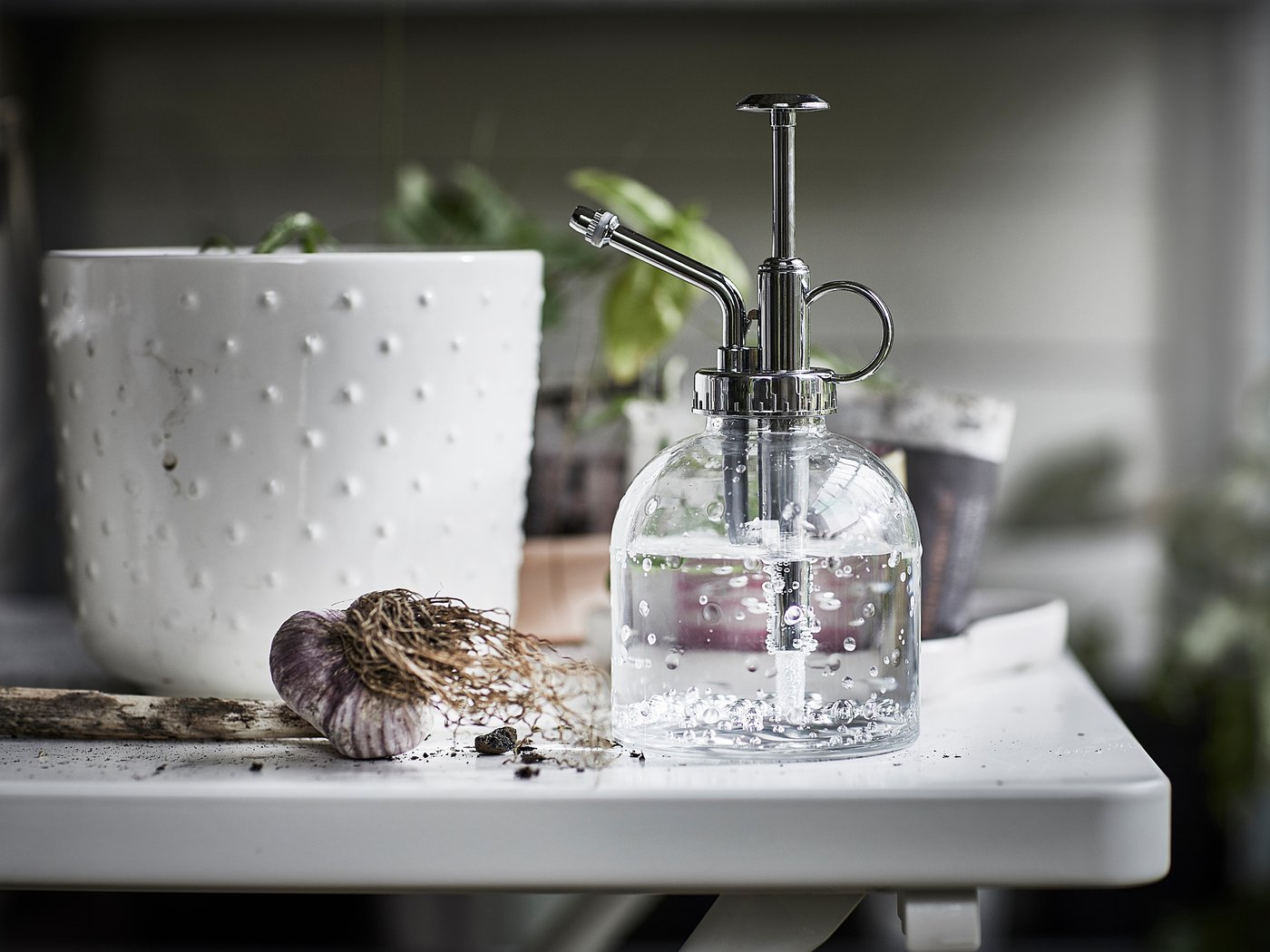 SESAMFRÖN plant mister, clear glass, 25 cl - IKEA