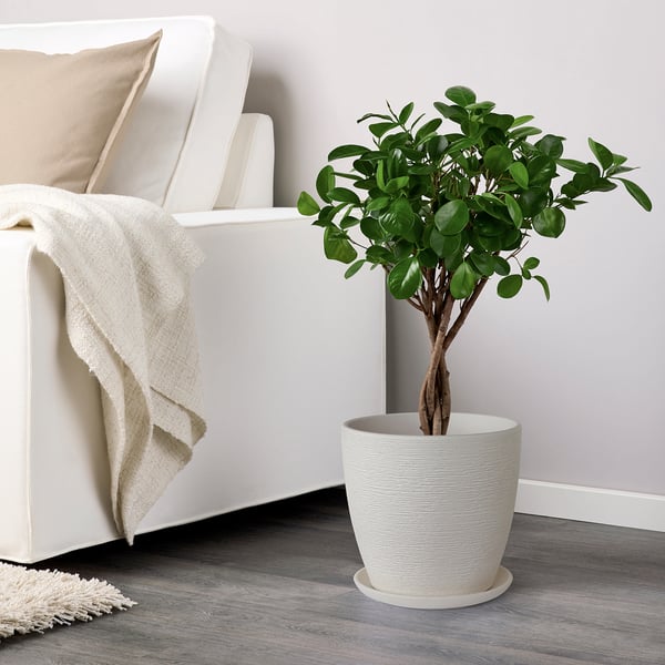 SKAKIG Plant pot white IKEA